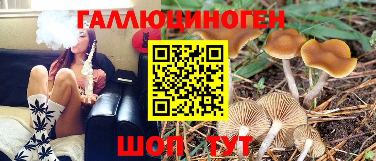 Псилоцибиновые грибы прущие грибы Чехов