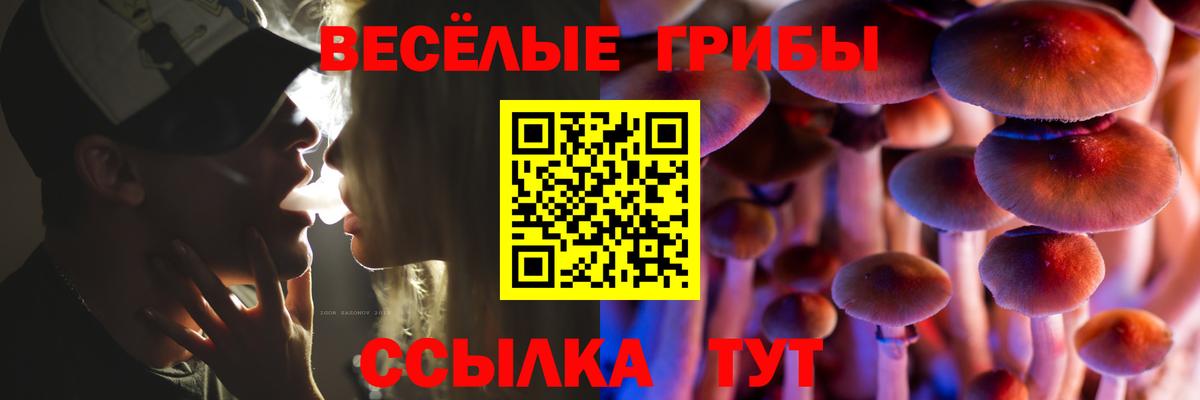 закладки  Галлюциногенные грибы Magic Shrooms  Вход с VPN  Чехов 